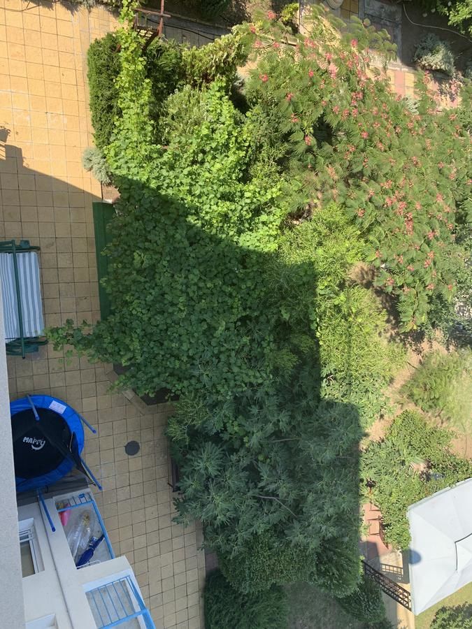 Гостевой дом Lilia Guest House Несебр